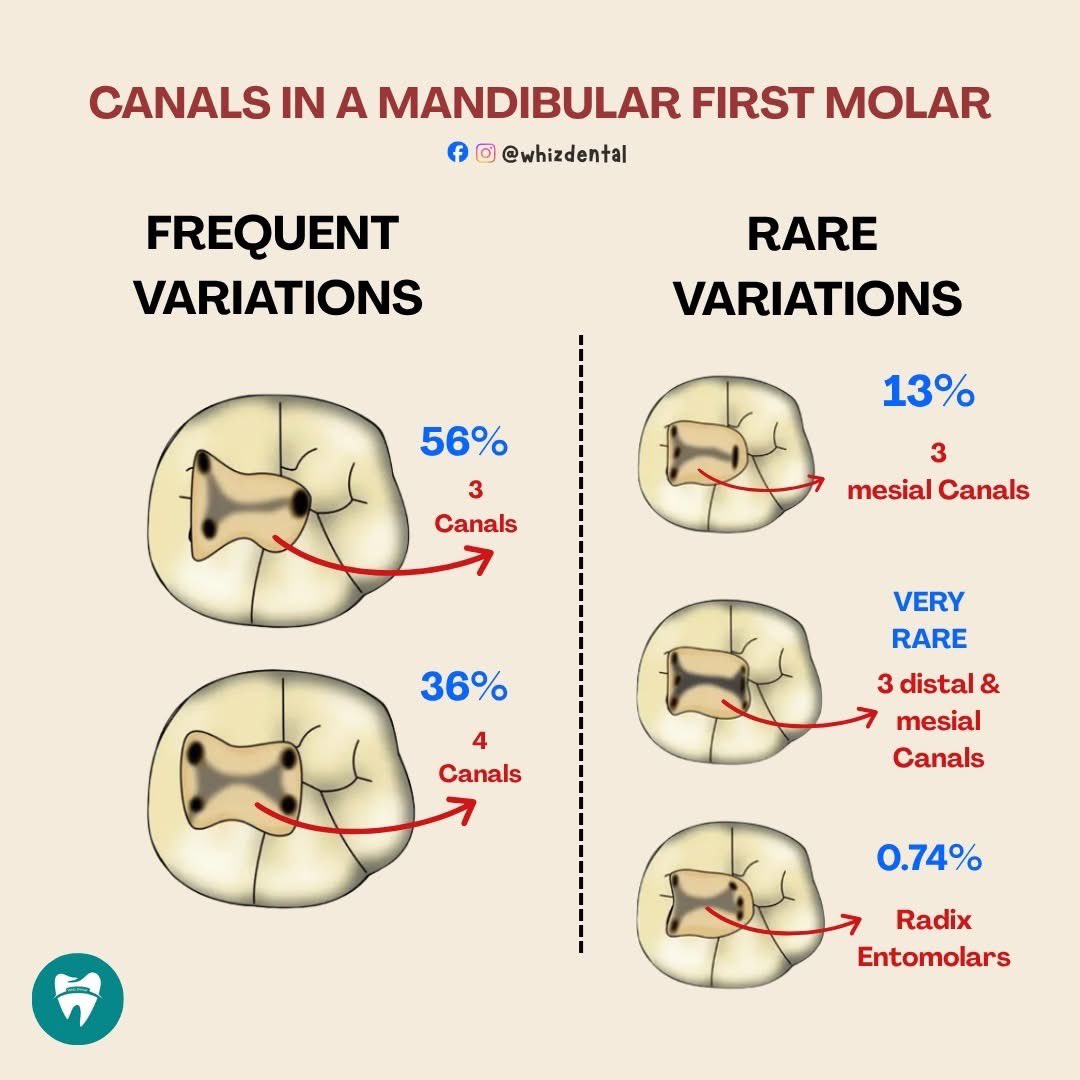 عن طب الأسنان | AboutDent tweet media
