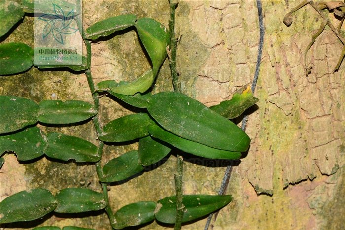 Cristina Ipiña tweet media