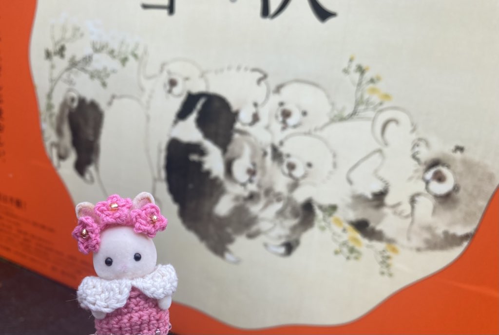 ぴょんちゃん tweet media