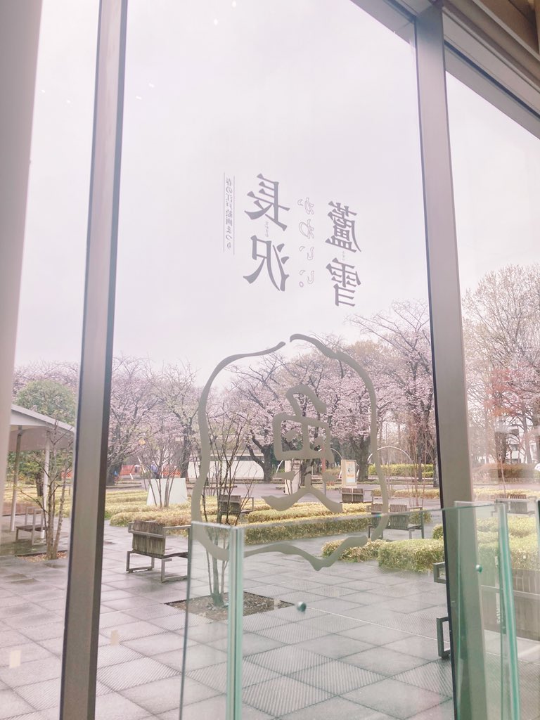 ぴょんちゃん tweet media