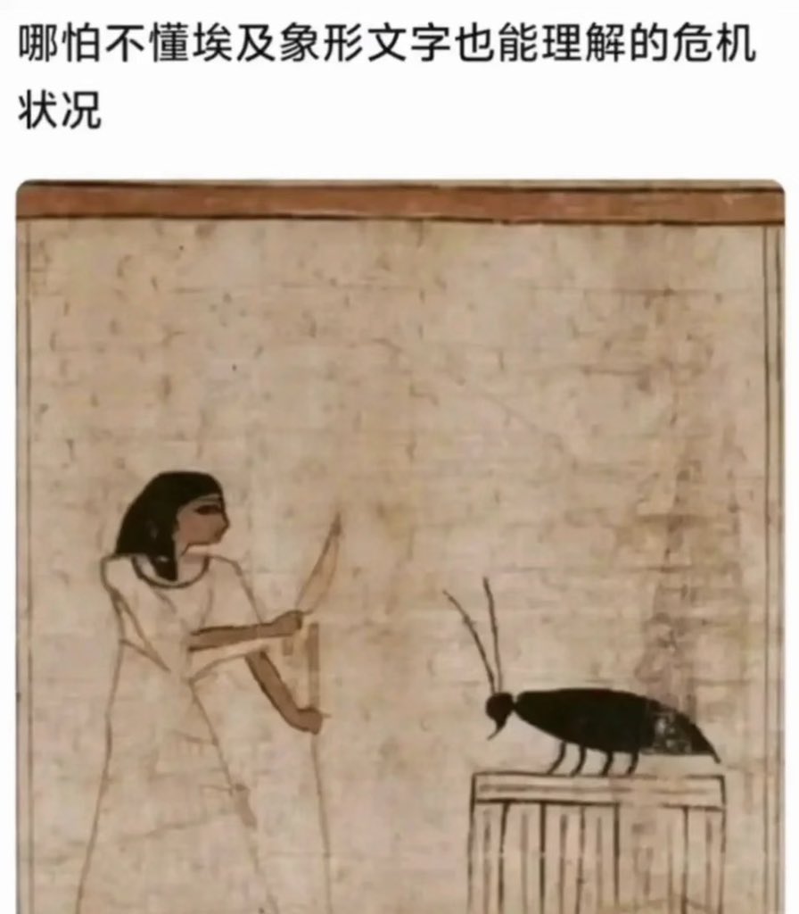 夜之城鼠鼠 tweet media