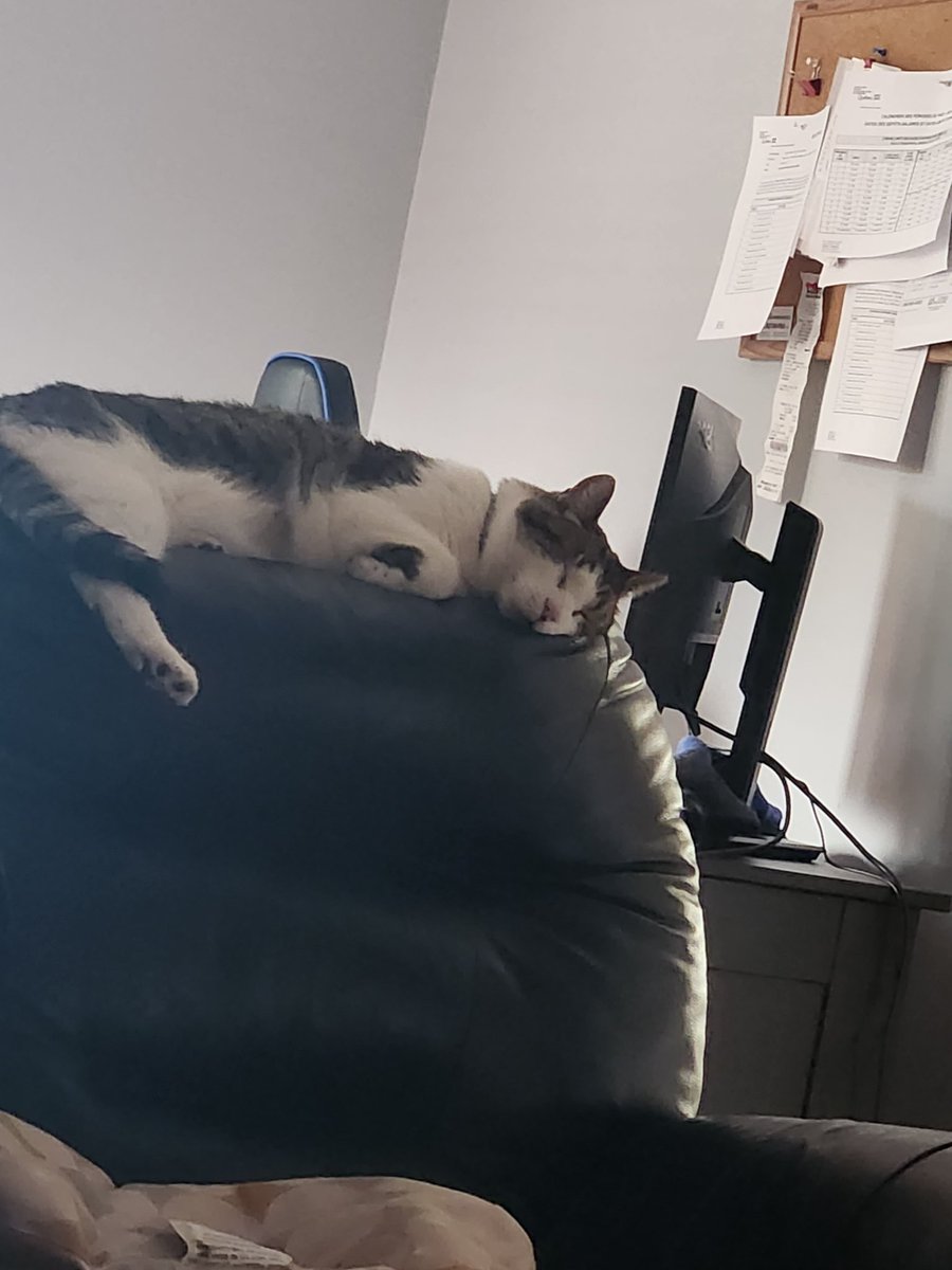 Nimbus☁️ tweet media