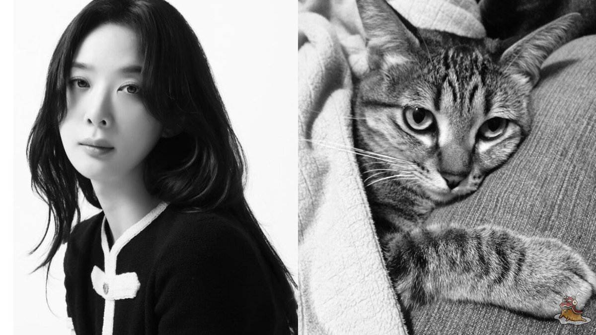 OCIE .ᐟ 🩷🎄 tweet media