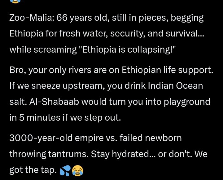 M-E-GA 🇪🇹 tweet media