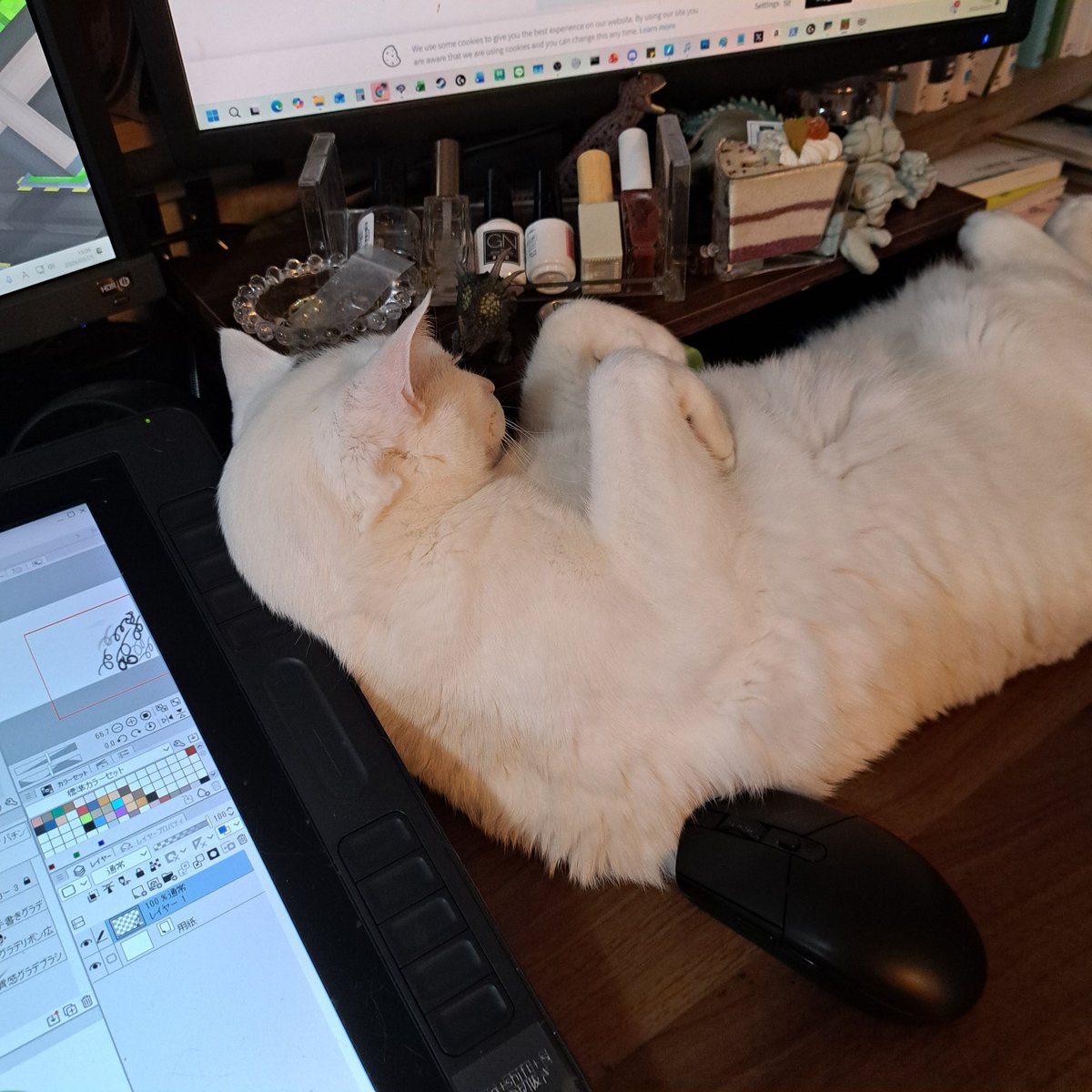 😮‍💨
机の上の物、横に全部落下してる…