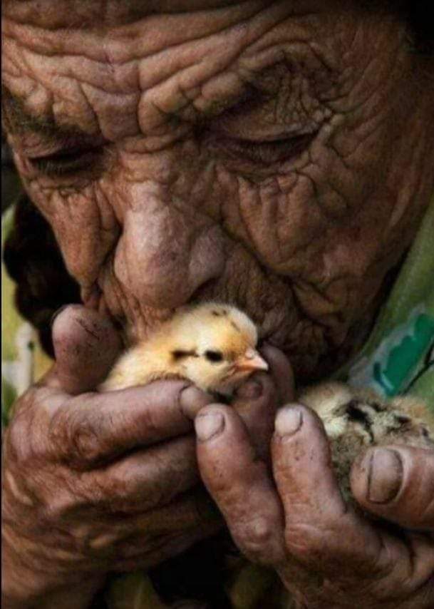 Hüseyin tweet media