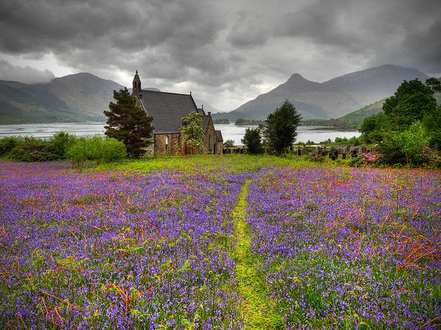 PARSIFEL tweet media