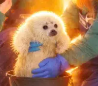 Absolutefocus tweet media