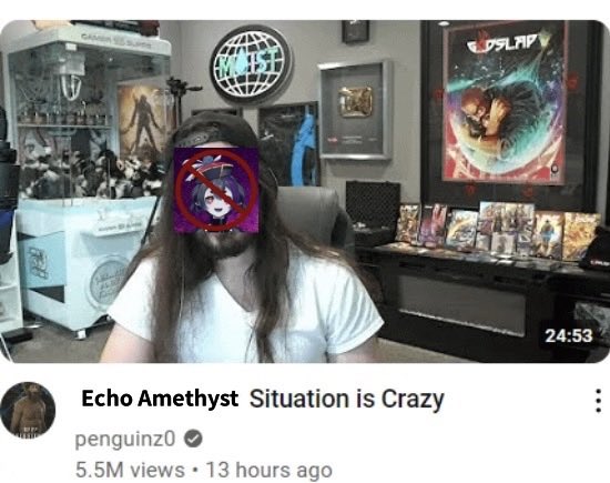 EchoHateAccount's tweet photo. Tsunami has come to me with some pretty disgusting information about @/EchoAmethyst 

About a day or so ago, Tsunami was banned from Echo’s server while live on stream 

This happened after Tsunami refused to tell Echo something, leading to Echo trying to force it out of him https://t.co/M24rB3qwhp
