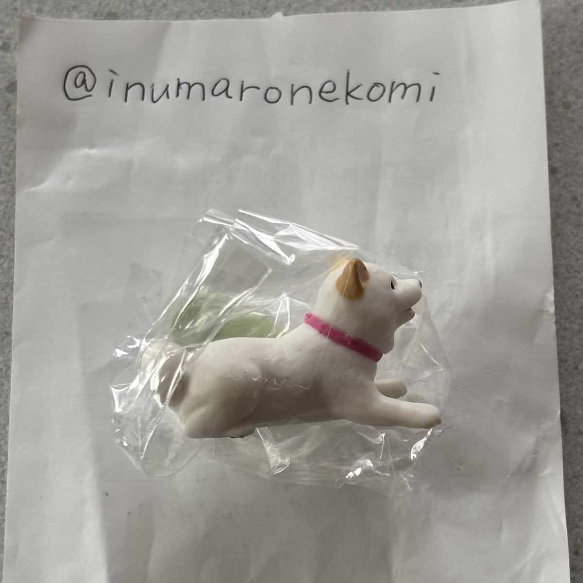 犬くん猫ちゃん tweet media