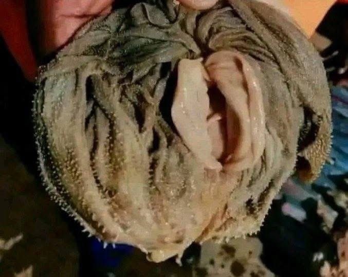 MOONLIGHT 🌙 tweet media