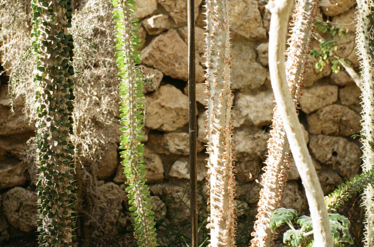 𝙵𝚕𝚘𝚛𝚒𝚊𝚗 𝙶 tweet media