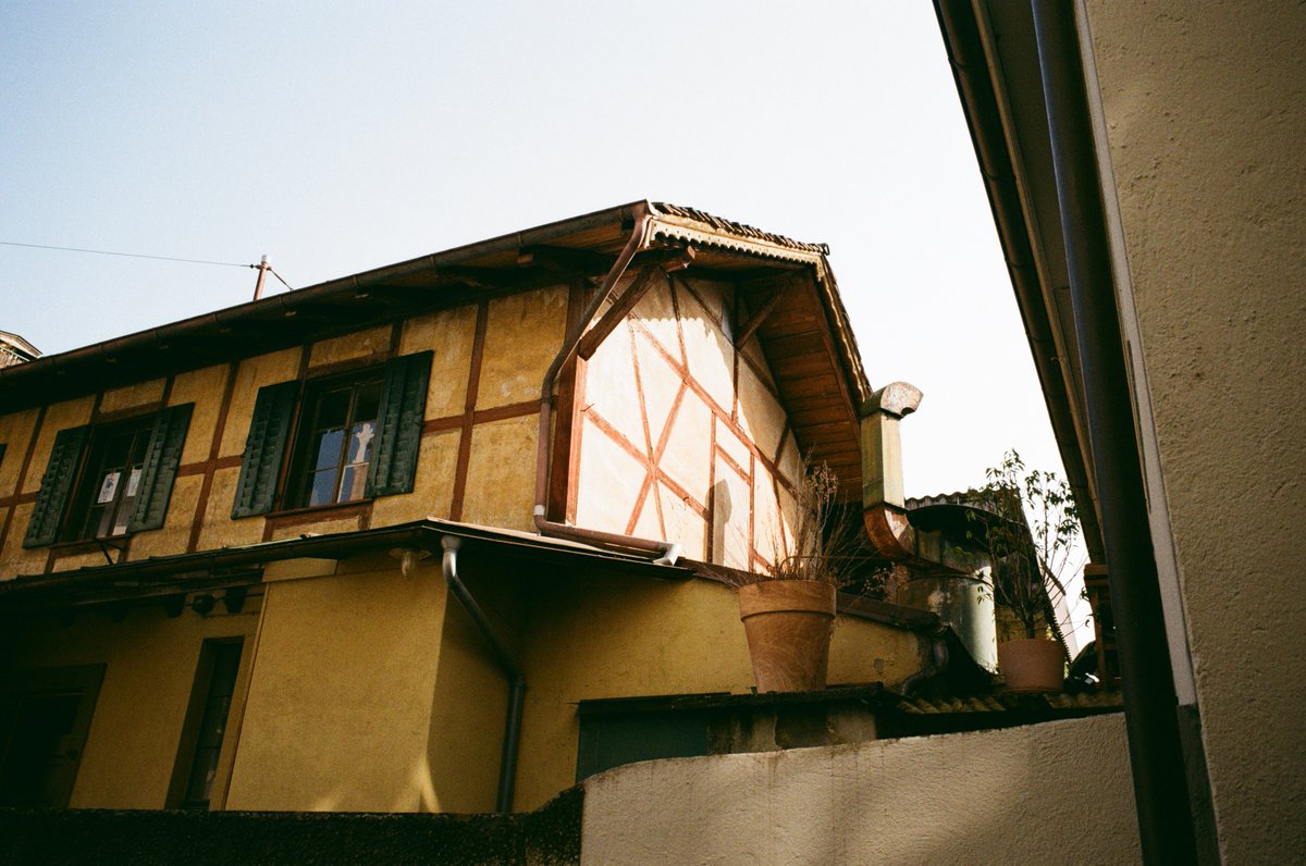 𝙵𝚕𝚘𝚛𝚒𝚊𝚗 𝙶 tweet media