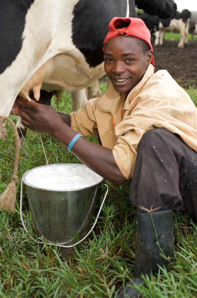 Oyeniran Michael tweet media