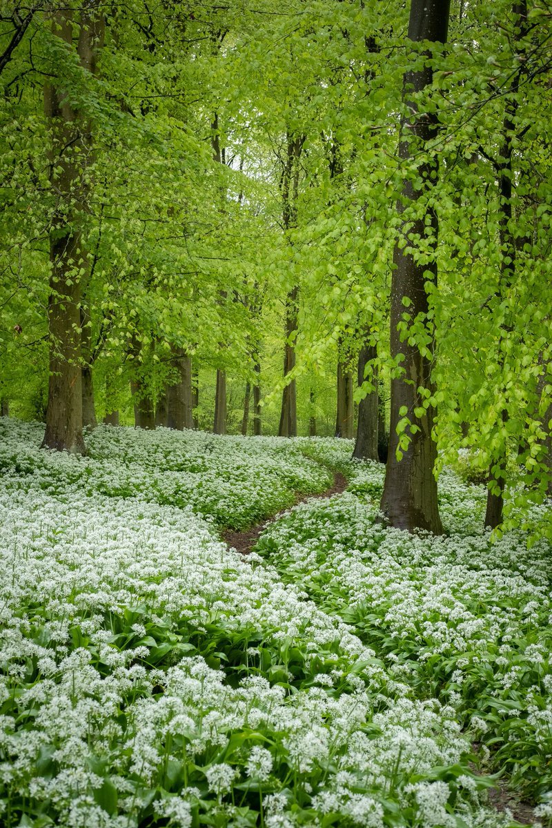 South Downs National Park tweet media