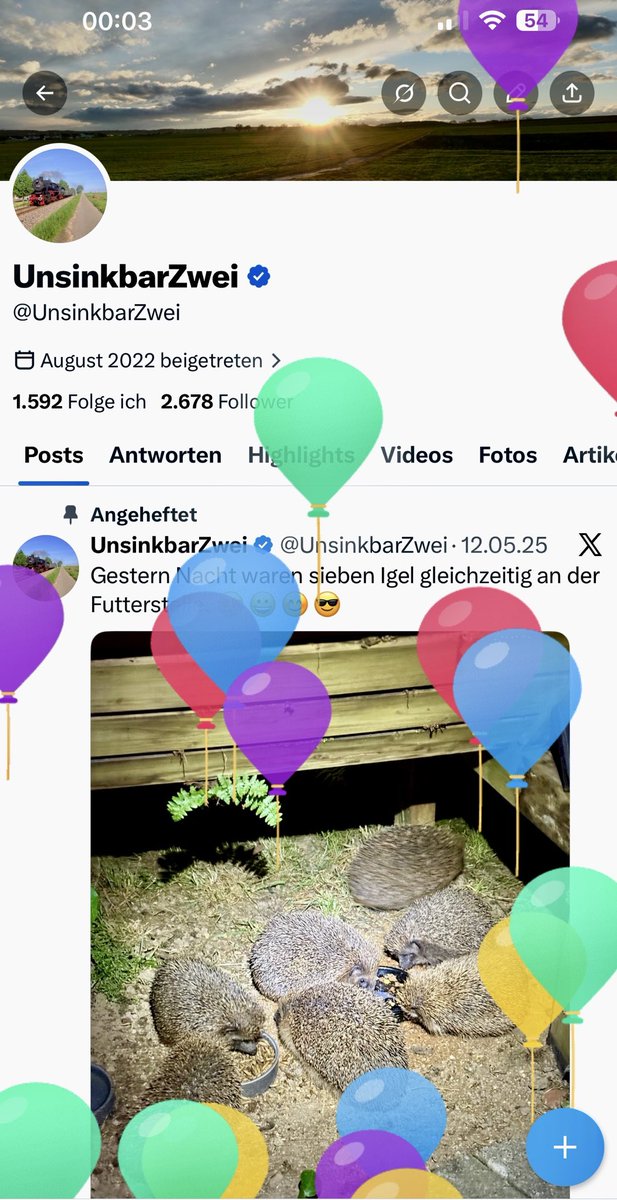 UnsinkbarZwei tweet media