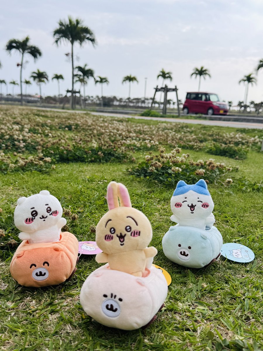 ちいおき tweet media