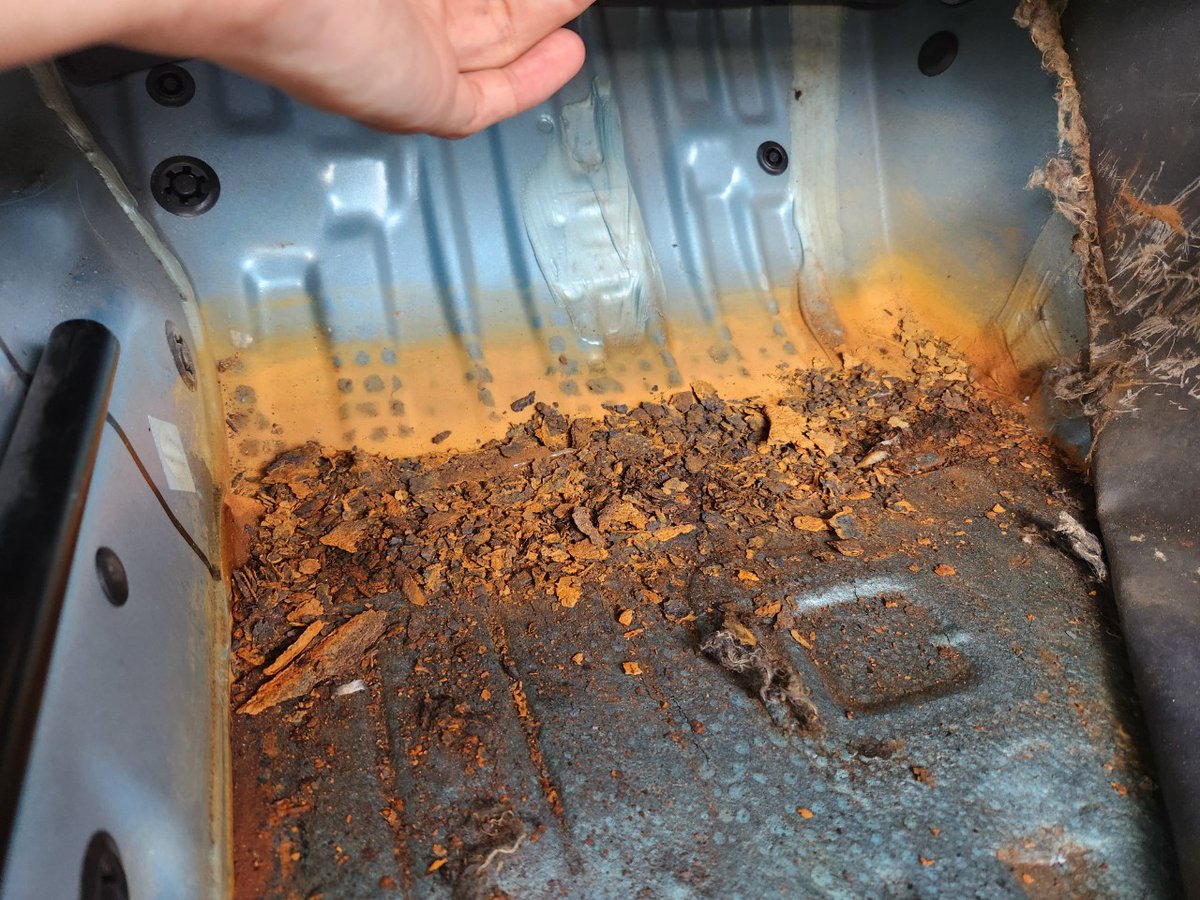 平出自動車 tweet media