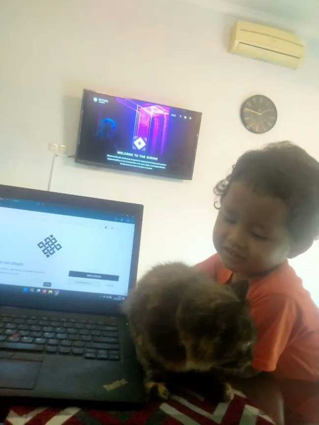 Marko Stevan (❖,❖) tweet media