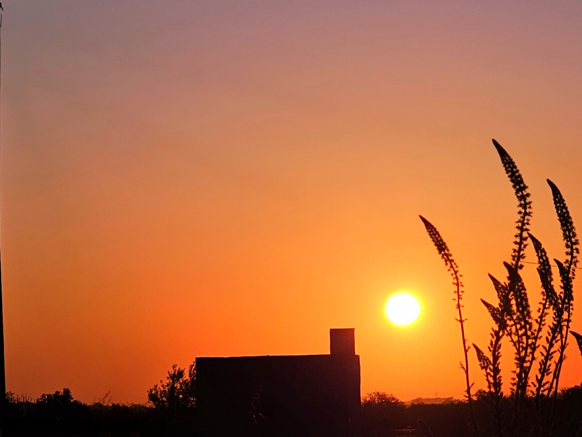 (Tra le nuvole) tweet media