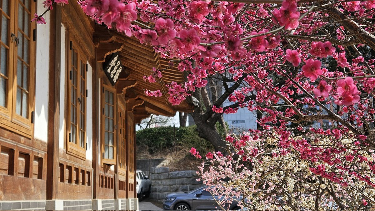 Euni 📸✏️ tweet media