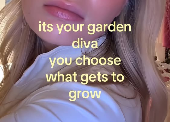 miranda (@mirandasantizo) on Twitter photo 