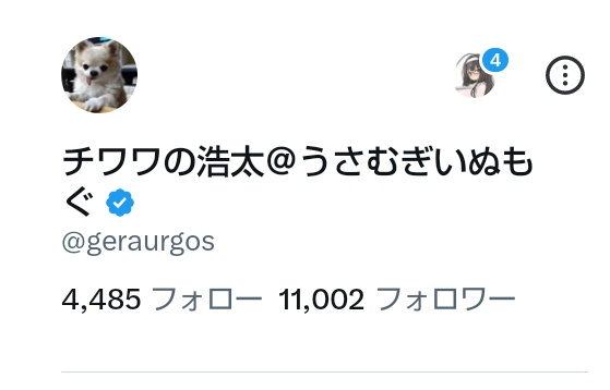 チワワの浩太＠うさむぎいぬもぐ tweet media