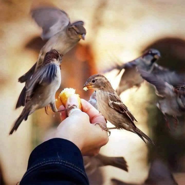 Pkz. 🇹🇷💛💙 tweet media