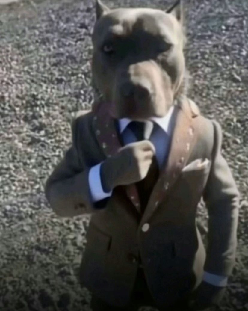 Rose Uchiha ࿋ tweet media