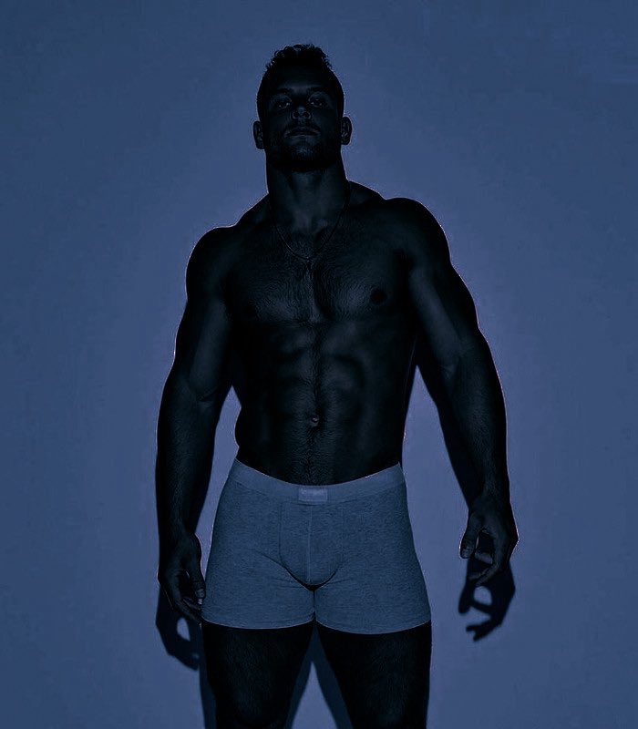 𝐓𝐇𝐄 𝐁𝐄𝐀𝐑. tweet media