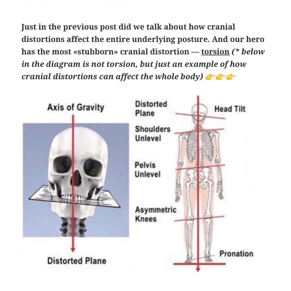 Los Blancos Hunter tweet media