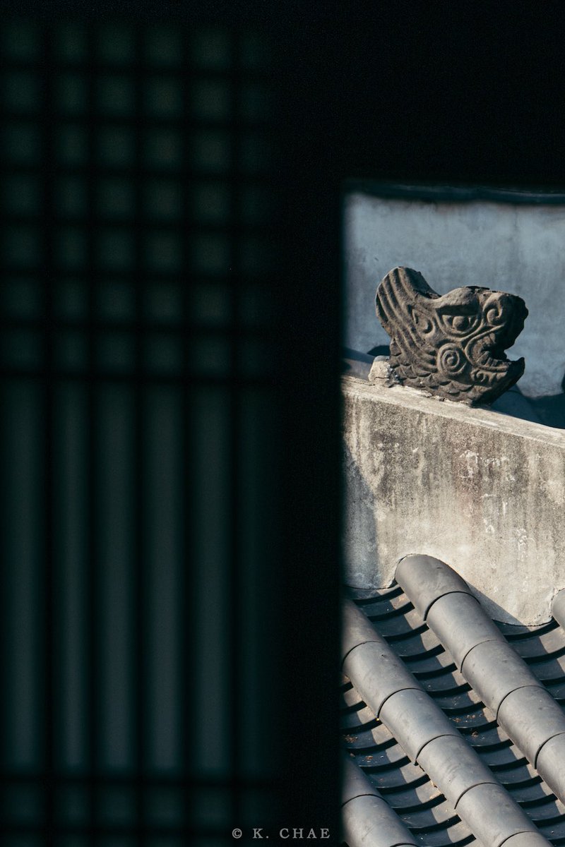 케이채 (K. CHAE) tweet media