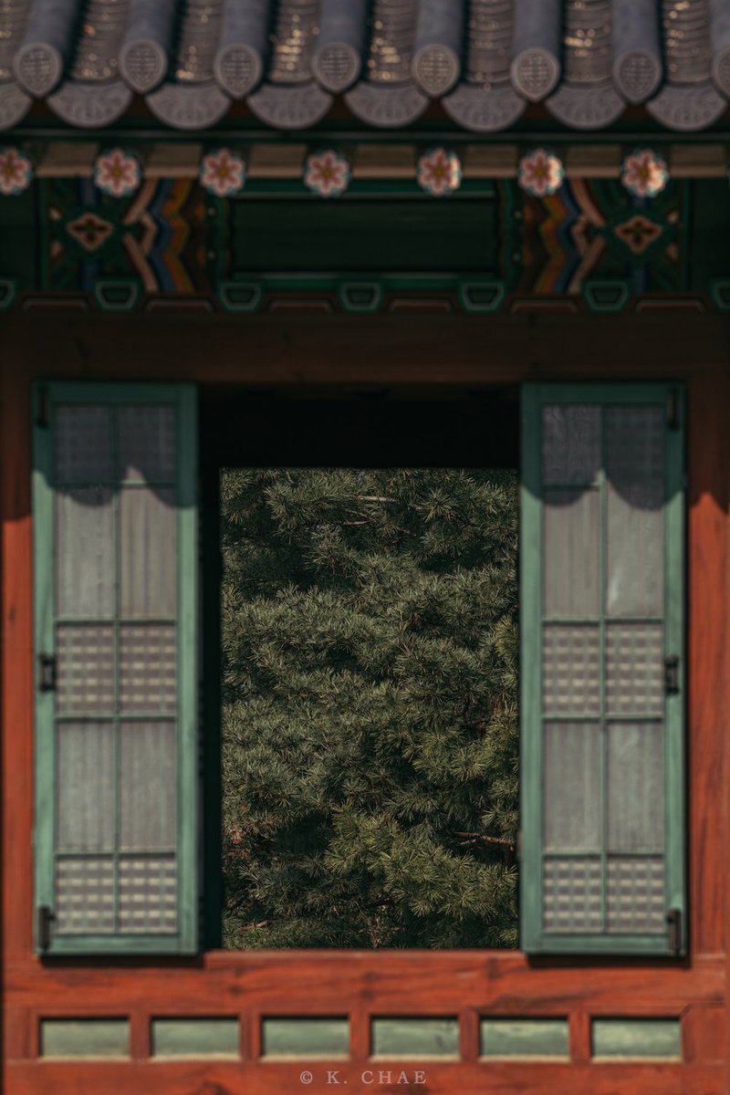 케이채 (K. CHAE) tweet media