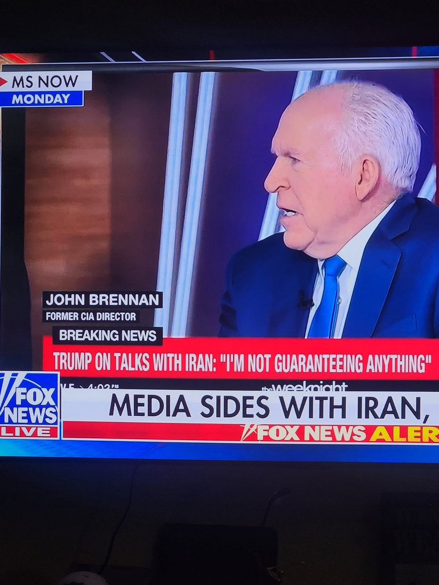 theoneandonlybigalinthestl tweet media