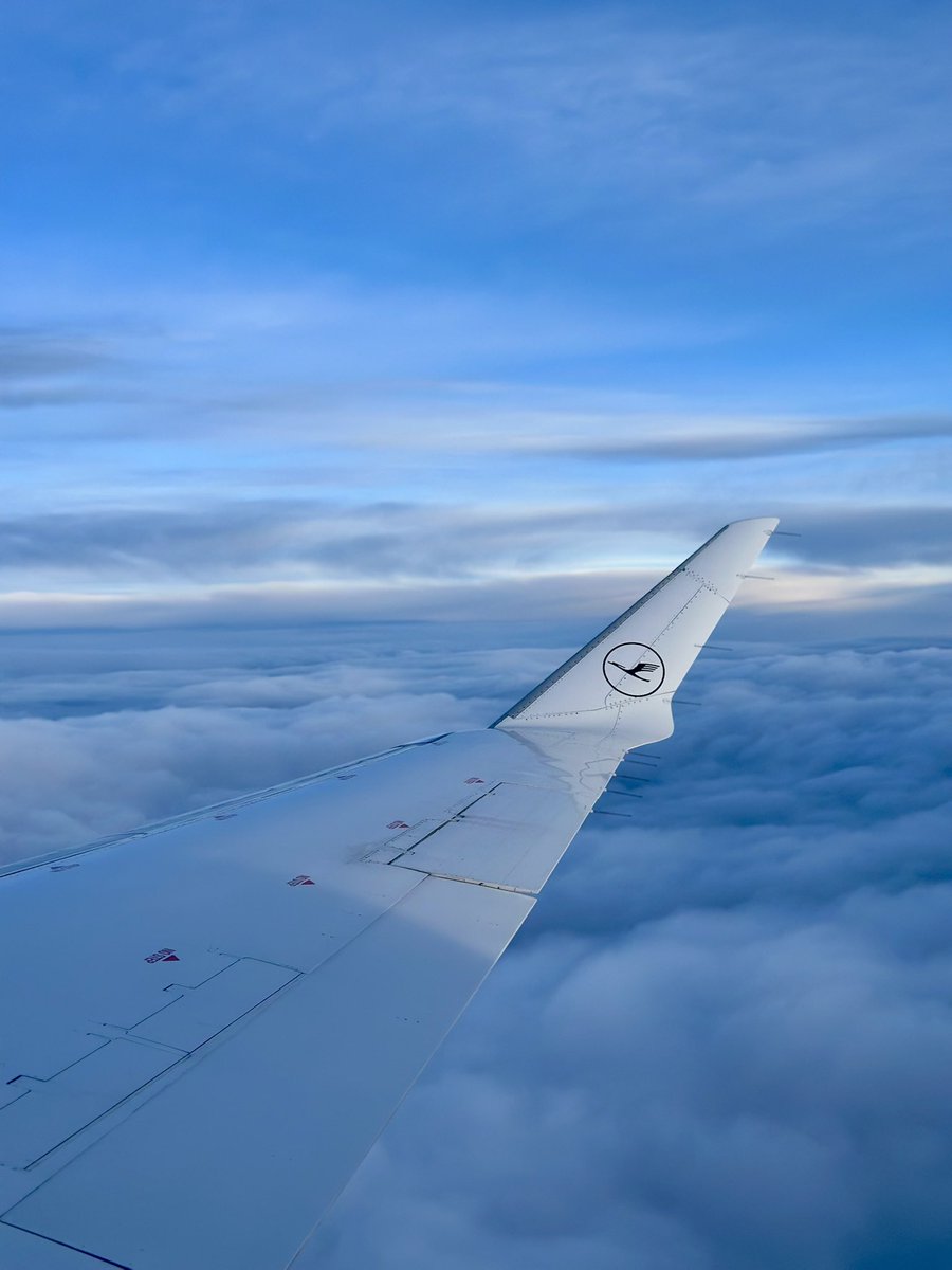 Moa in luv 🩵🪽 tweet media