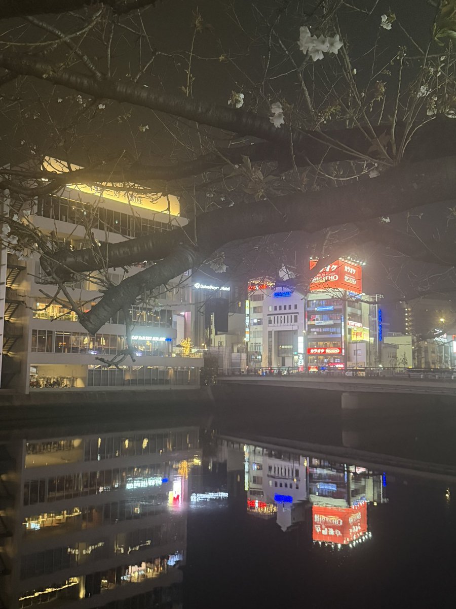 dark6775's tweet photo. 昨夜の中洲の桜はまだ見頃には
早かった
今週末、来週ぐらいが見頃かな

#花見　#桜　#中洲 https://t.co/4oknCvHg7p