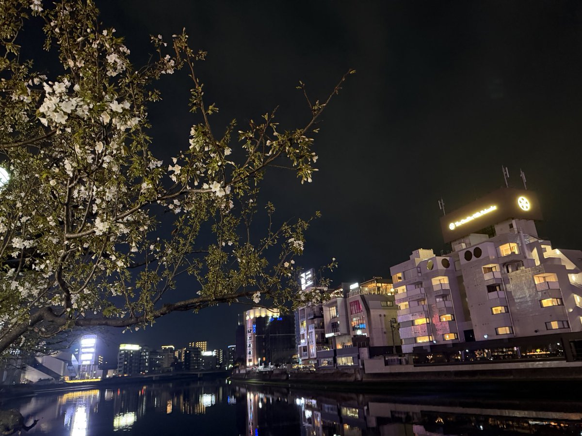 dark6775's tweet photo. 昨夜の中洲の桜はまだ見頃には
早かった
今週末、来週ぐらいが見頃かな

#花見　#桜　#中洲 https://t.co/4oknCvHg7p