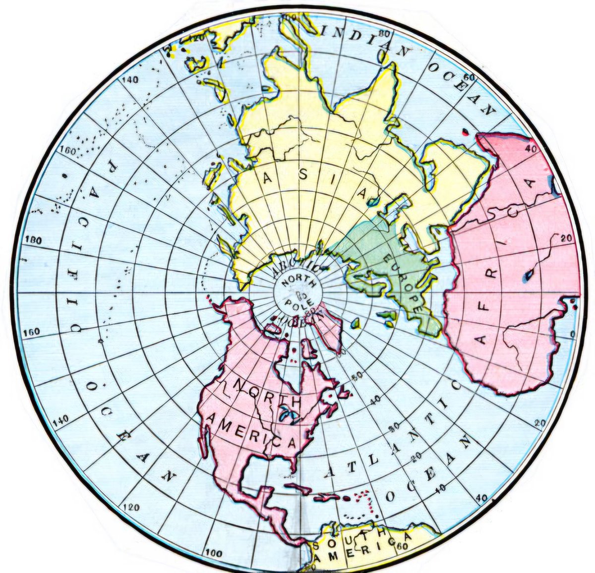 ❤️ BMAotC 🐉🦉 tweet media