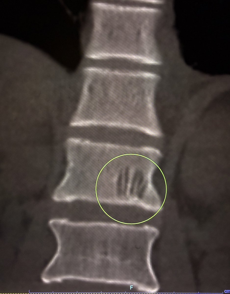 Sameer Raniga tweet media