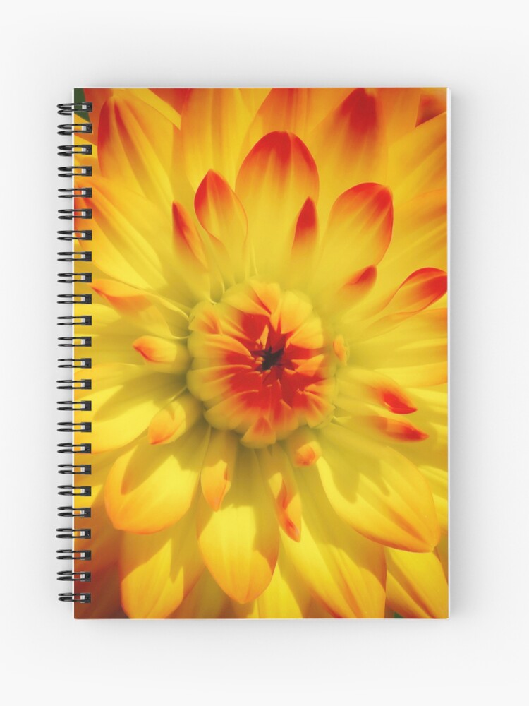 HurmerintaArt's tweet image. Notebooks are great at home and on the road. Come and have a look at my designs on notebooks. They are all also great gift ideas. 

#notebooks #artistmade 
johanna-hurmerinta.pixels.com/shop/spiral+no…