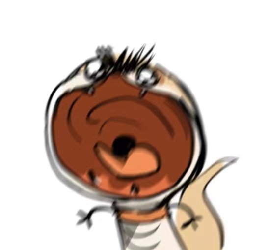 小狗蛇 tweet media