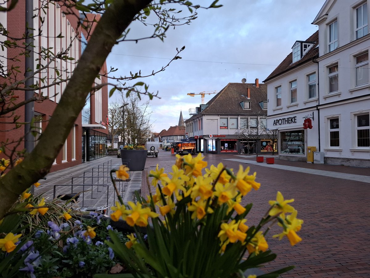 New Nemo 🏺🎼🇬🇪✏🇺🇦🇫🇮&🇩🇲🪓 tweet media