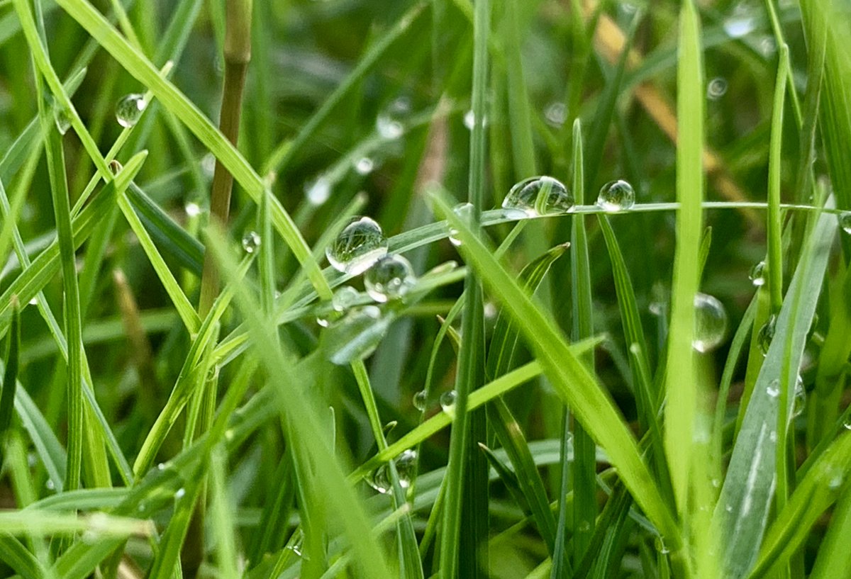 Ahhtinqq'zxc tweet media