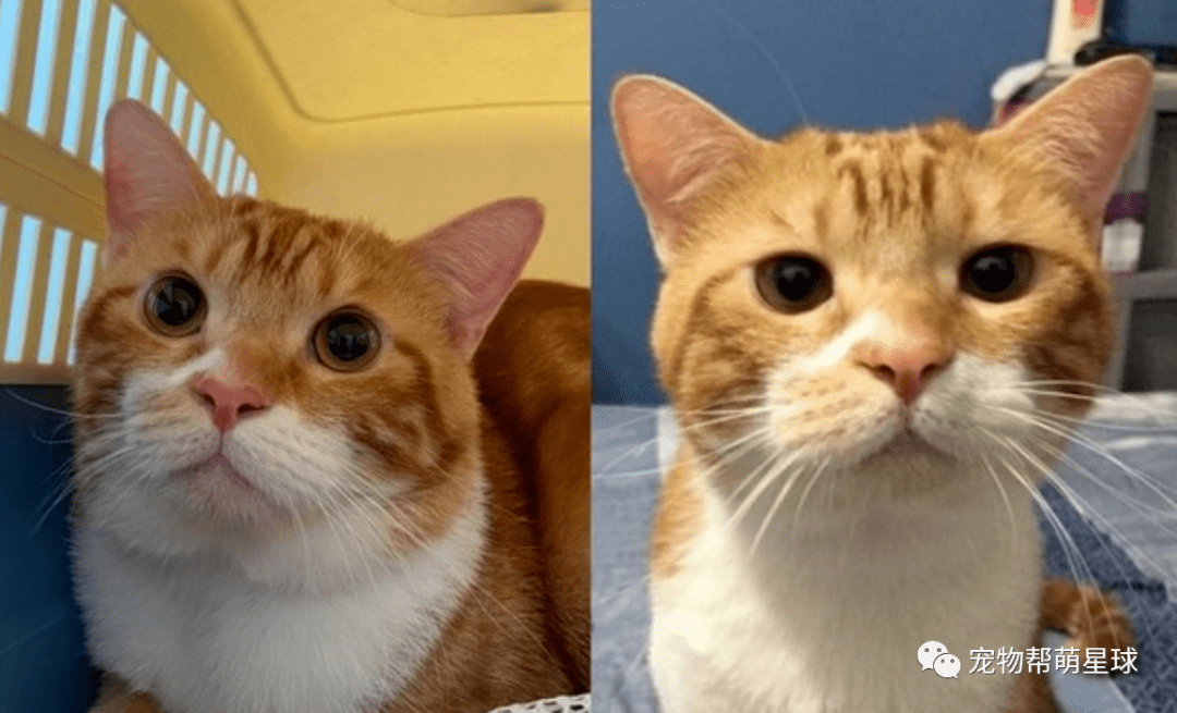 ivanfranchy@gmail.co tweet media