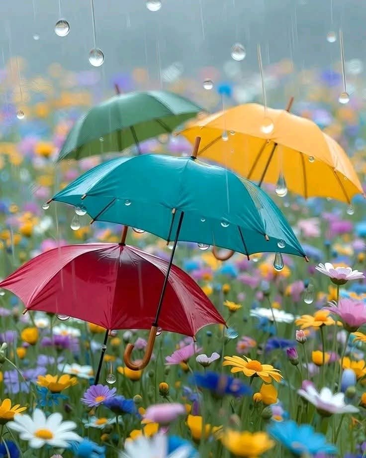 zeynep krtl tweet media