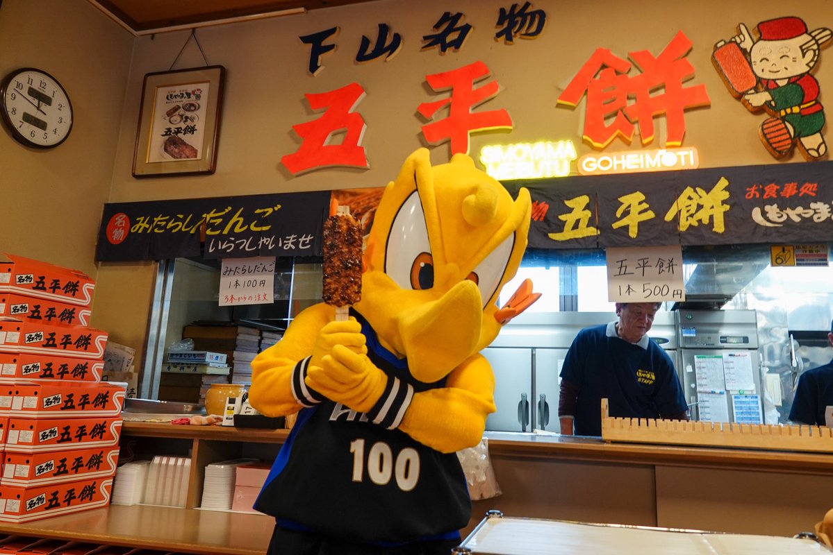 シーホース三河 tweet media