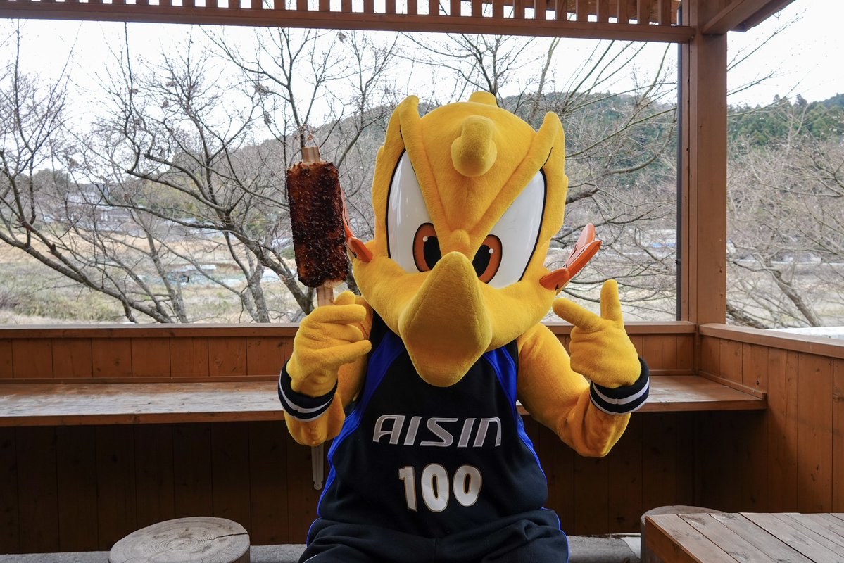 シーホース三河 tweet media