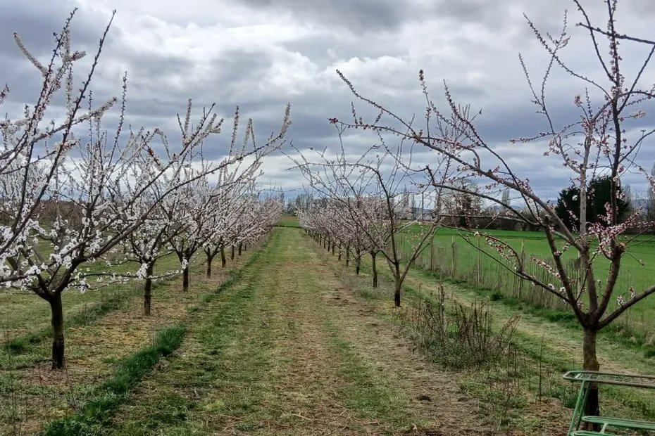 France 3 Alsace tweet media