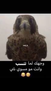 خالد tweet media