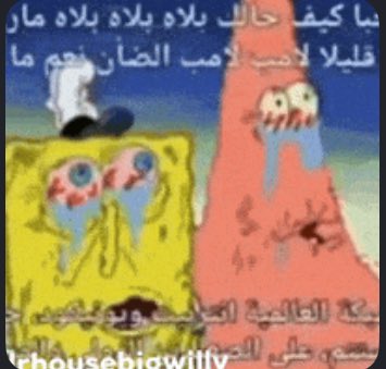 zain haider tweet media